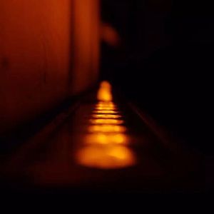 蒙古姑娘二免费播放
