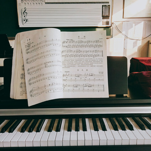 蒙古姑娘二免费播放
